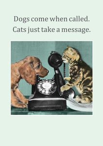 Cath Tate - Cats Take A Message - Humour Card