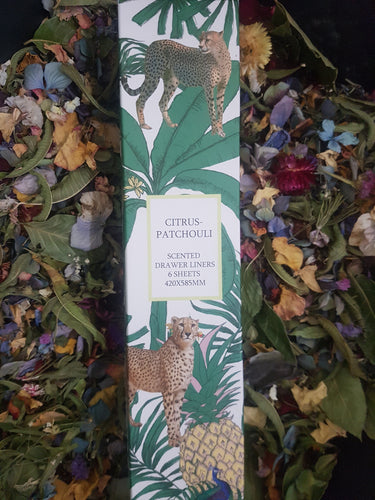 Scented Drawer Liner - Citrus Patchouli