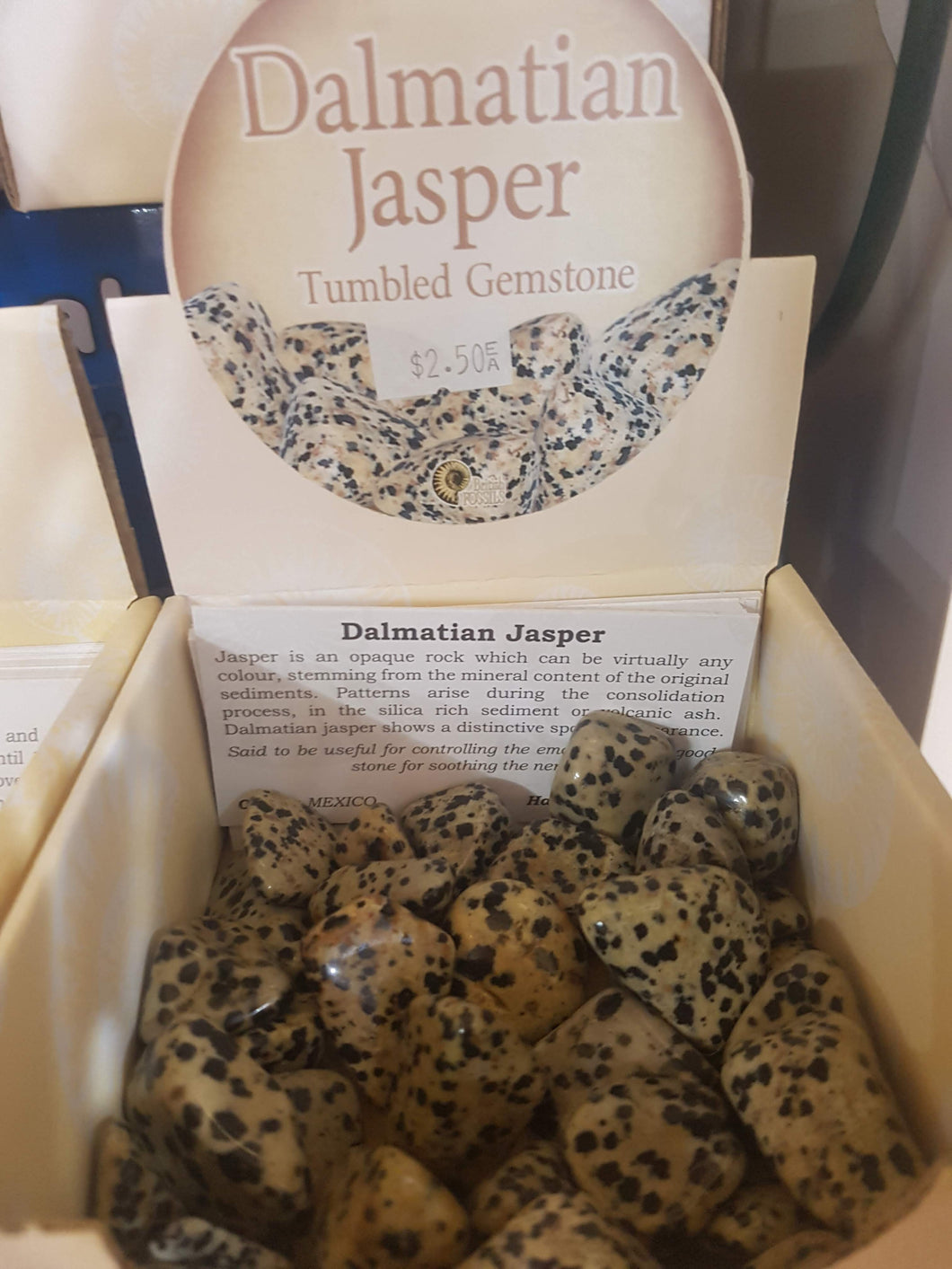 Dalmatian Jasper