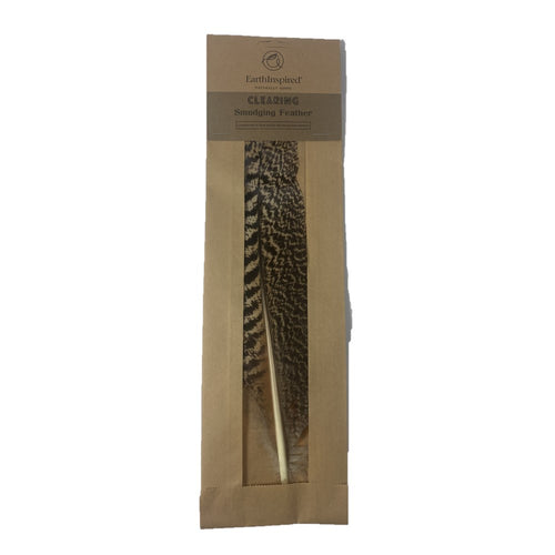 Peahen Smudging Feather