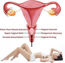 Load image into Gallery viewer, Rose Quartz Yoni Egg Muscle Pelvic Trainer