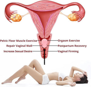 Rose Quartz Yoni Egg Muscle Pelvic Trainer