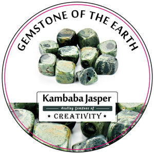 Tumbled stone – Kambaba Jasper