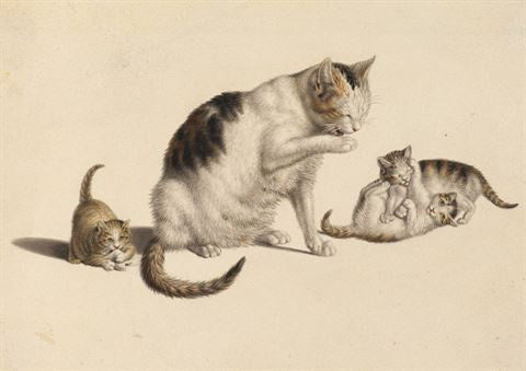 Art Press - Cat & Three Kittens - Card