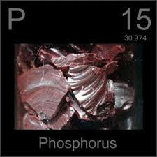 Naturopharm Phosphorus