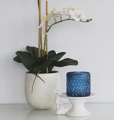 Simply Blue: Garden of Orchid