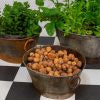 Rustic Oval Iron Pot