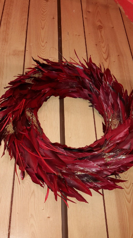 Red Feather Wall Hanging