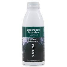 Superdose  Fucoidan + Mushroom