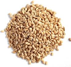 Organic pearl barley 500g