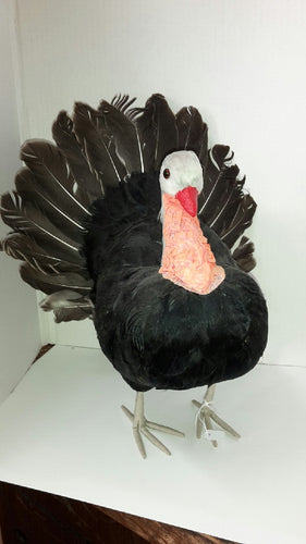 Mr Turkey
