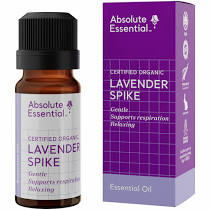 Lavender Spike (organic)